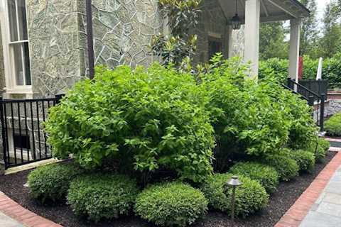 Mulch Supplier For Landscapers West Chester, PA · Sunday, May 3 📸