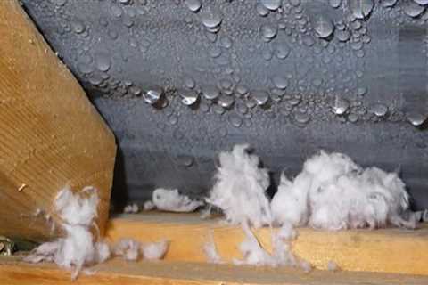 Why Roofing Professionals Pay Attention to Moisture Risks During Large Interior Renovations
