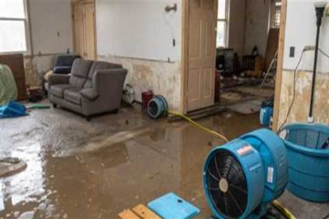 Caseyville, IL Home Water Restoration Guide Featuring Replacement Windows and Doors for Long-Term..