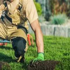 Why Lawn Care Plays an Important Role During Larger Contracting and Landscaping Projects