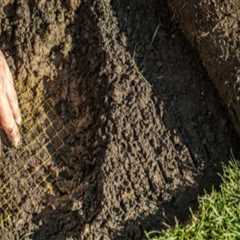The Environmental Impact of Hardscape Construction: What You Need to Know